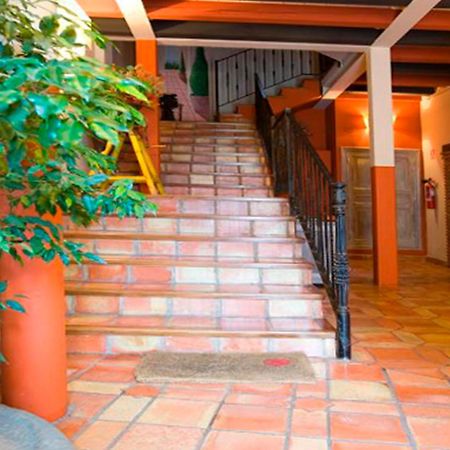 Apartamentos Senorio De Haro 3000 Exterior foto